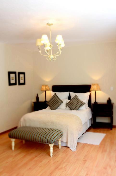 Villa Moringa Guesthouse Windhoek Exterior photo